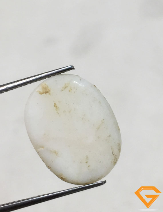 7 ratti/6.31 ct Natural Certified  White Coral/सफ़ेद मूंगा